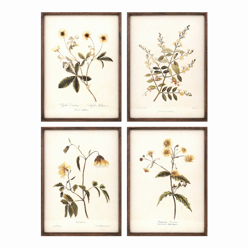 Floral Print (Set of 4) 12"L x 17.5"H MDF/Wood/Paper/Glass