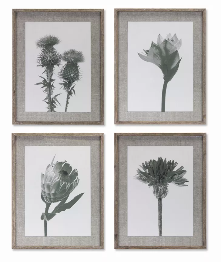 Floral Print (Set of 4) 21.5" x 27.5"H Wood/Glass