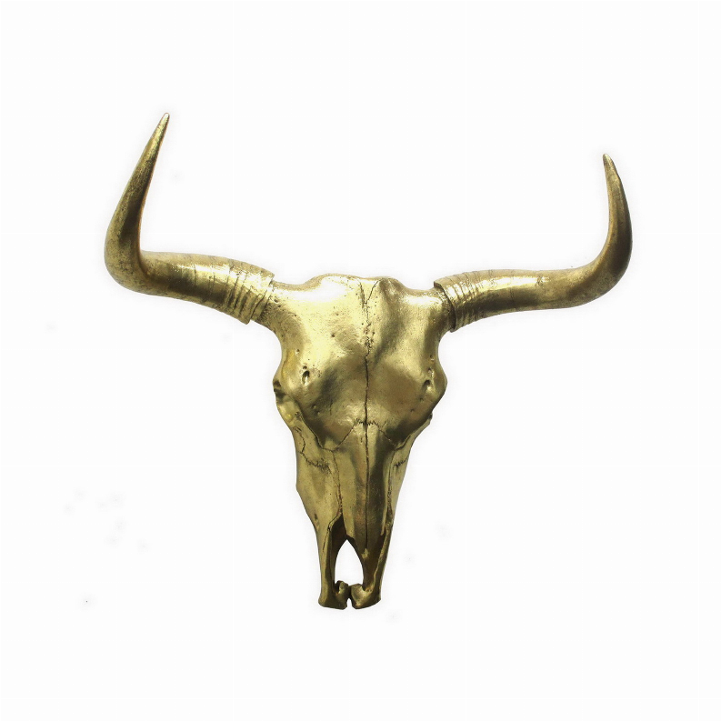 Plutus Brands Bison Skull Wall Decor