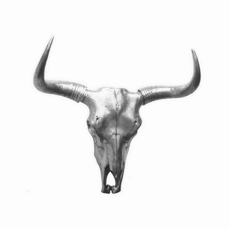 Plutus Brands Bison Skull Wall Decor