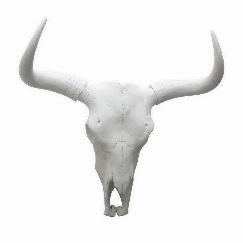 Plutus Brands Bison Skull Wall Decor